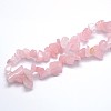 Natural Rose Quartz Beads Strands G-O049-B-60-3