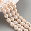 Natural Cultured Freshwater Pearl Beads Strands PEAR-P062-10A-2