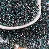 Glass Seed Beads SEED-A032-06T-1