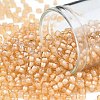 TOHO Round Seed Beads SEED-XTR08-0391-1