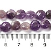 Natural Amethyst Beads Strands G-T047-A04-01-5