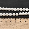 Electroplated Shell Pearl Beads Strands BSHE-K017-6mm-4