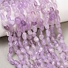 Natural Lavender Amethyst Beads Strands G-K395-B09-01-1