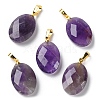 Natural Amethyst Pendants G-E603-03G-02-1