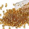 TOHO 6/0 Round Beads X-SEED-TR06-0022-1