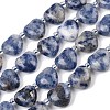 Natural Blue Spot Jasper Beads Strands G-NH0069-A08-2