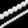 Electroplate Opaque Glass Beads Strands X-GLAA-T032-P8mm-AB02-4