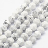 Natural Howlite Beads Strands G-F523-28-6mm-1