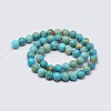 Natural Imperial Jasper Beads Strands G-I122-6mm-10-3