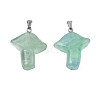 Natural Fluorite Pendants G-R480-02G-3