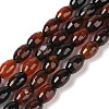 Natural Agate Beads Strands G-Q194-B01-01F-1