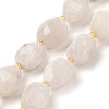 Natural Rainbow Moonstone Beads Strands G-P541-A01-01-1