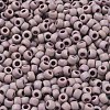 TOHO 6/0 Round Beads SEED-XTR06-0412F-3