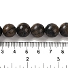 Natural Chiastolite Beads Strands G-Q161-A03-05-5