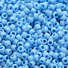 TOHO 6/0 Round Beads SEED-XTR06-0403F-4