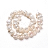 Natural Cultured Freshwater Pearl Beads Strands PEAR-I004-08A-2
