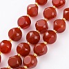 Natural Carnelian Beads Strands G-A030-B24-10mm-B-1