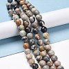 Natural Polychrome Jasper/Picasso Stone/Picasso Jasper Bead Strands G-E571-17B-2