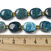 Natural Apatite Beads Strands G-H005-A03-03-5