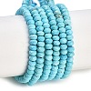 Dyed Natural Howlite Beads Strands G-H070-A03-01-1