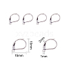 304 Stainless Steel Leverback Earring Findings X-STAS-L190-14S-1