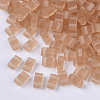 2-Hole Glass Seed Beads SEED-T003-02B-02-1