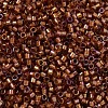MIYUKI Delica Beads SEED-MY11-DB1736-3