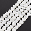 Natural Trochid Shell/Trochus Shell Beads Strands SSHEL-T014-43A-01-2