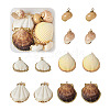 Craftdady 12Pcs 6 Style Shell Pendants DIY-CD0001-39-10