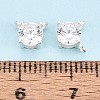 925 Sterling Silver Micro Pave Clear Cubic Zirconia Charms STER-N017-17A-S-4