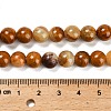 Natural Wood Lace Stone Beads Strands G-B128-A04-03-3