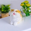 Resin Cat Shape Mini Model Display Decoration PW-WG0ED1E-04-1