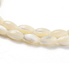 Natural Trochid Shell/Trochus Shell Beads Strands PBB513Y-3
