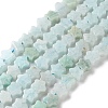 Natural Amazonite Beads Strands G-G085-B45-02-2