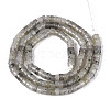 Natural Labradorite Beads Strands G-F631-A38-3