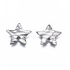 304 Stainless Steel Charms STAS-S080-057P-NR-2