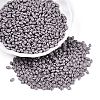 Baking Paint Glass Seed Beads SEED-T006-03Z-3