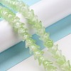 Transparent Glass Beads Strands LAMP-H061-01C-07-2