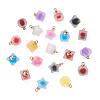 Mega Pet 80Pcs 20 Style Plastic/Resin Frosted Pendants FIND-MP0001-01-20