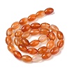 Natural Red Agate Beads Strands G-NH0030-01A-3