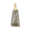 Natural Labradorite Pendants G-C045-01F-G-3