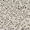 MIYUKI Delica Beads SEED-X0054-DB0883-3