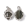 Natural Labradorite Pendants G-P484-03P-06-2