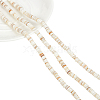 3 Strands Natural Shell Beads Strands SSHEL-NB0001-44A-1