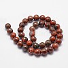Natural Brecciated Jasper Bead Strands G-G735-35-10mm-2