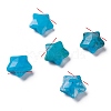 Natural Howlite Charms G-H241-04E-1