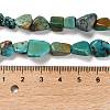 Natural HuBei Turquoise Beads Strands G-P497-01E-19-5