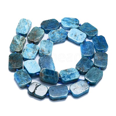 Natural Apatite Beads Strands G-K245-J20-01-1