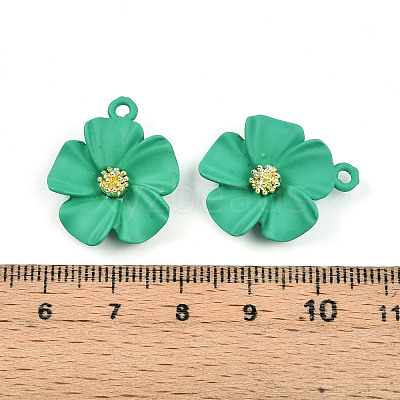 Spray Painted Alloy Pendants PALLOY-N0147-03F-1