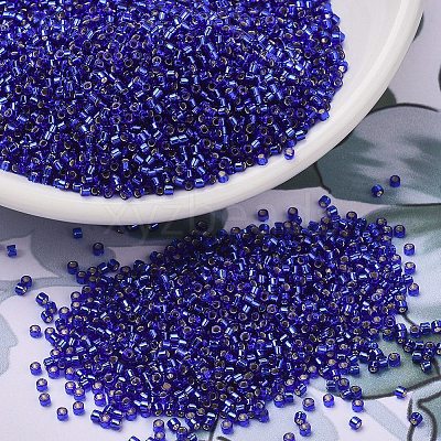 MIYUKI Delica Beads SEED-X0054-DB0047-1